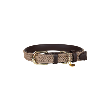 Collier chien tressé