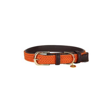 Collier chien tressé