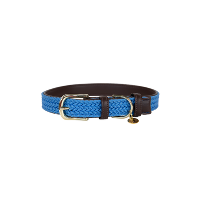 Collier chien tressé