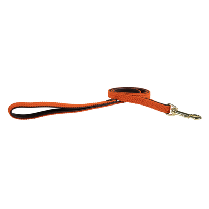 Laisse nylon tressé