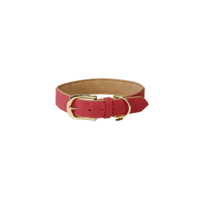 Collier pour chien Kentucky "Vegan Leather"
