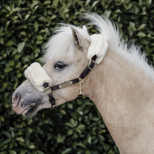 LICOL EN CUIR MOUTON