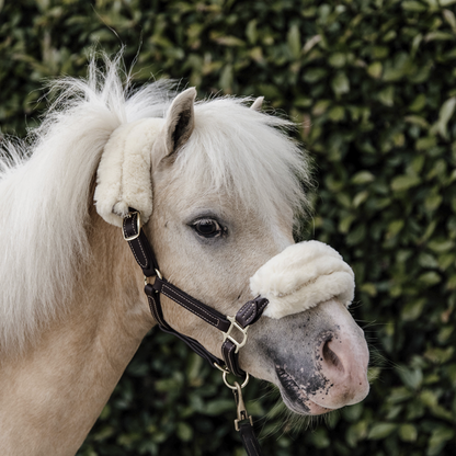 LICOL EN CUIR MOUTON