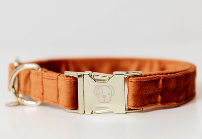 Collier pour chien Kentucky "Velvet"