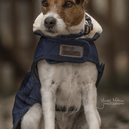 Couverture chien - Kentucky