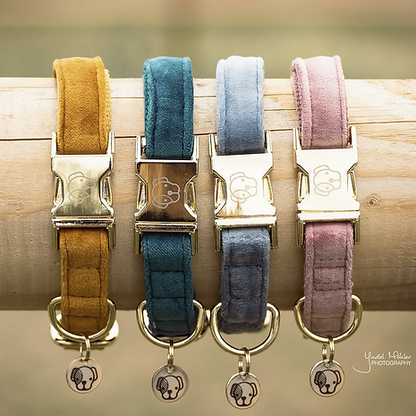 Collier pour chien Kentucky "Velvet"