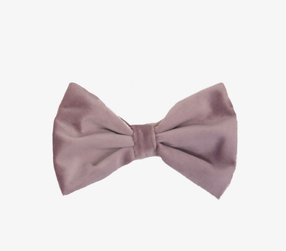 Nœud papillon Velvet
