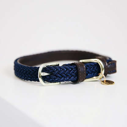 Collier chien tressé