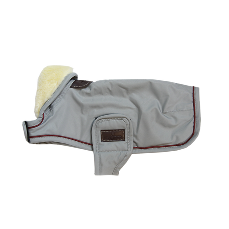 Couverture CHIEN IMPERMÉABLE 160G