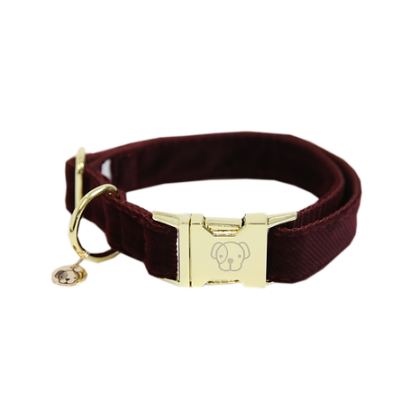 Collier chien "Corduroy"