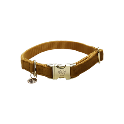 Collier pour chien Kentucky "Velvet"