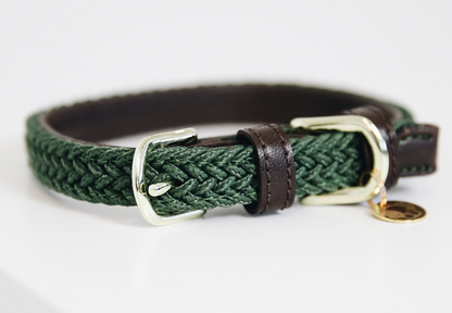 Collier chien tressé