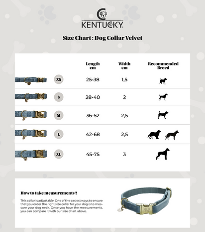 Collier pour chien Kentucky "Velvet"