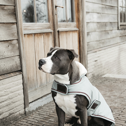 Couverture CHIEN IMPERMÉABLE 160G