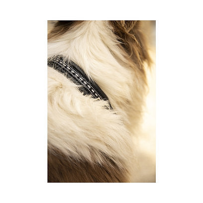 Collier Pénélope Point Sellier