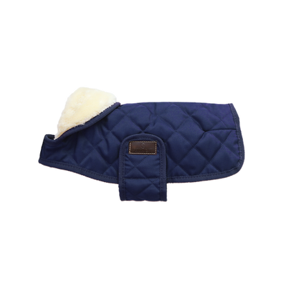 Couverture chien - Kentucky