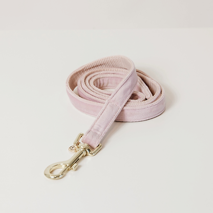 Laisse velvet