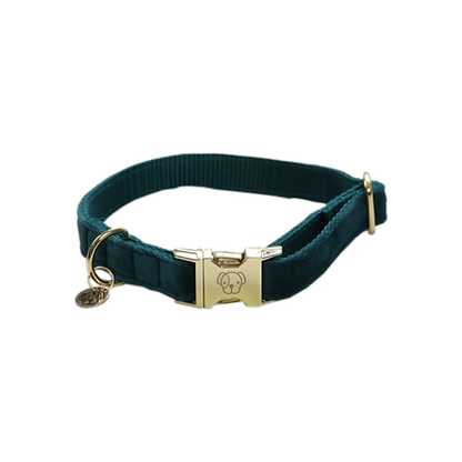 Collier pour chien Kentucky "Velvet"
