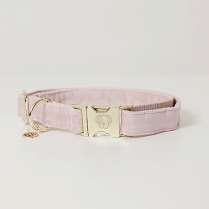 Collier pour chien Kentucky "Velvet"