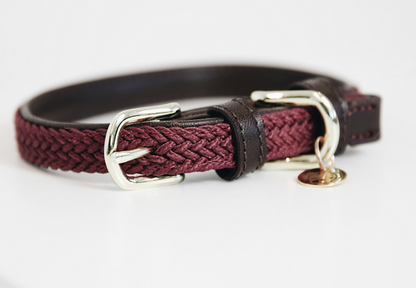 Collier chien tressé