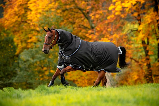 Couverture de paddock Amigo Bravo 12 plus 250gr
