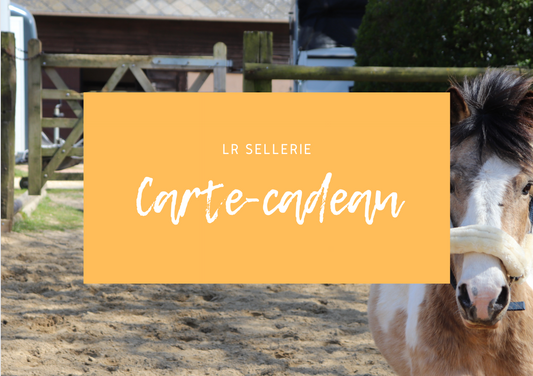 Carte Cadeau
