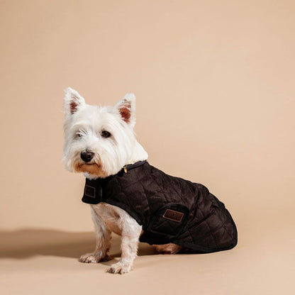 Couverture chien - Kentucky