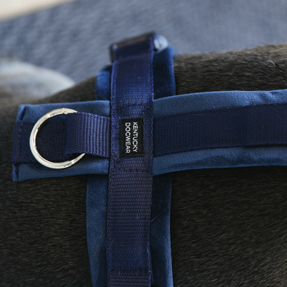 Harnais pour chien actif Kentucky