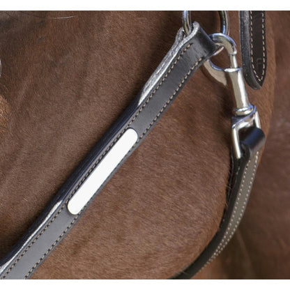 Licol cuir grooming Norton