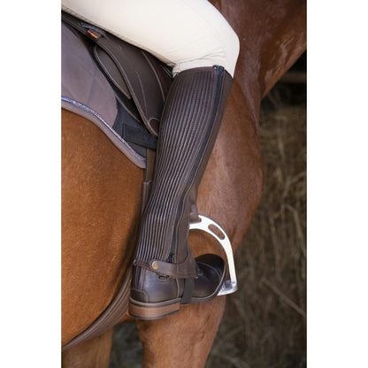 Mini-chaps Equithème cuir