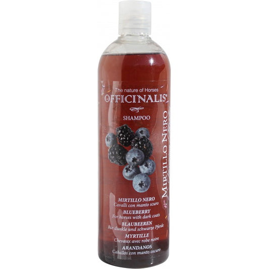 Shampooing "Myrtille"